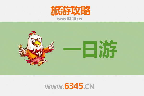 普洱自驾一日游攻略：茶香古韵与自然奇观的完美邂逅