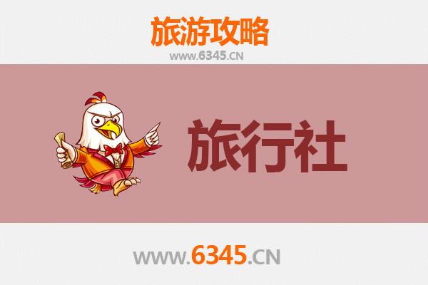 普洱本地旅行社推荐：探索茶马古道与热带雨林的完美之旅