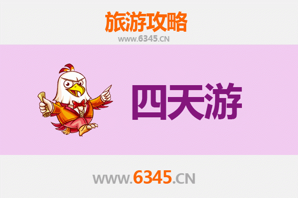 普洱四天三夜深度游攻略：茶香秘境与自然奇遇