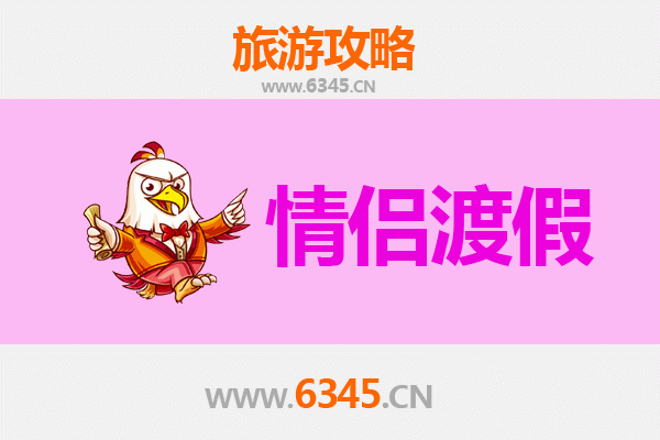 普洱情侣浪漫之旅：茶香秘境中的甜蜜时光