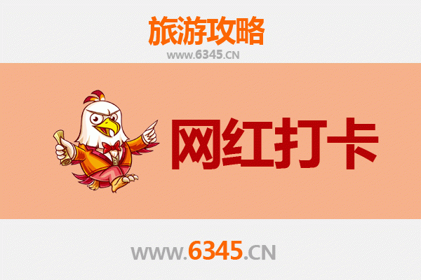 普洱网红打卡地全攻略：探索茶香秘境与小众宝藏