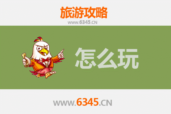 节假日普洱旅游全攻略：茶香漫旅，秘境探幽